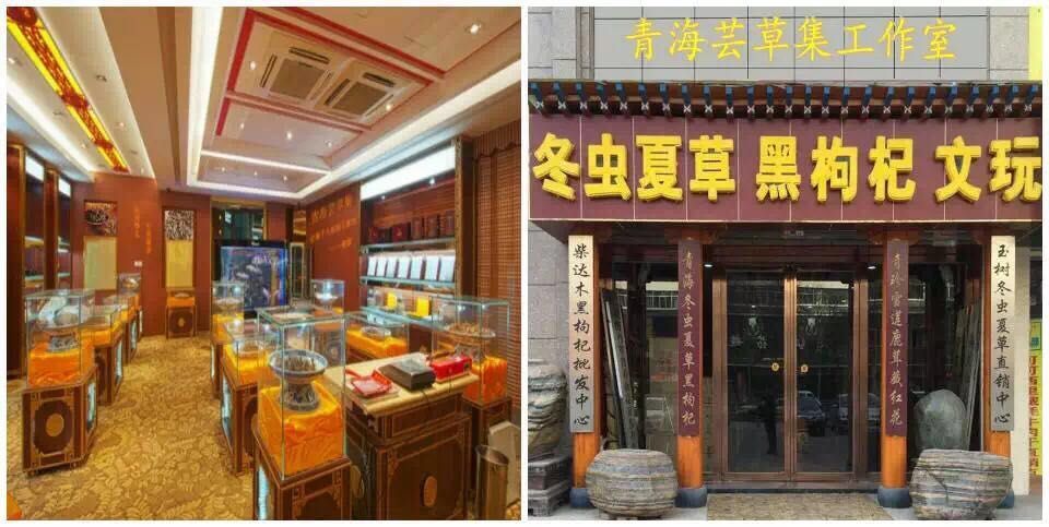 冬虫夏草  玉树2500条精选  全国包邮