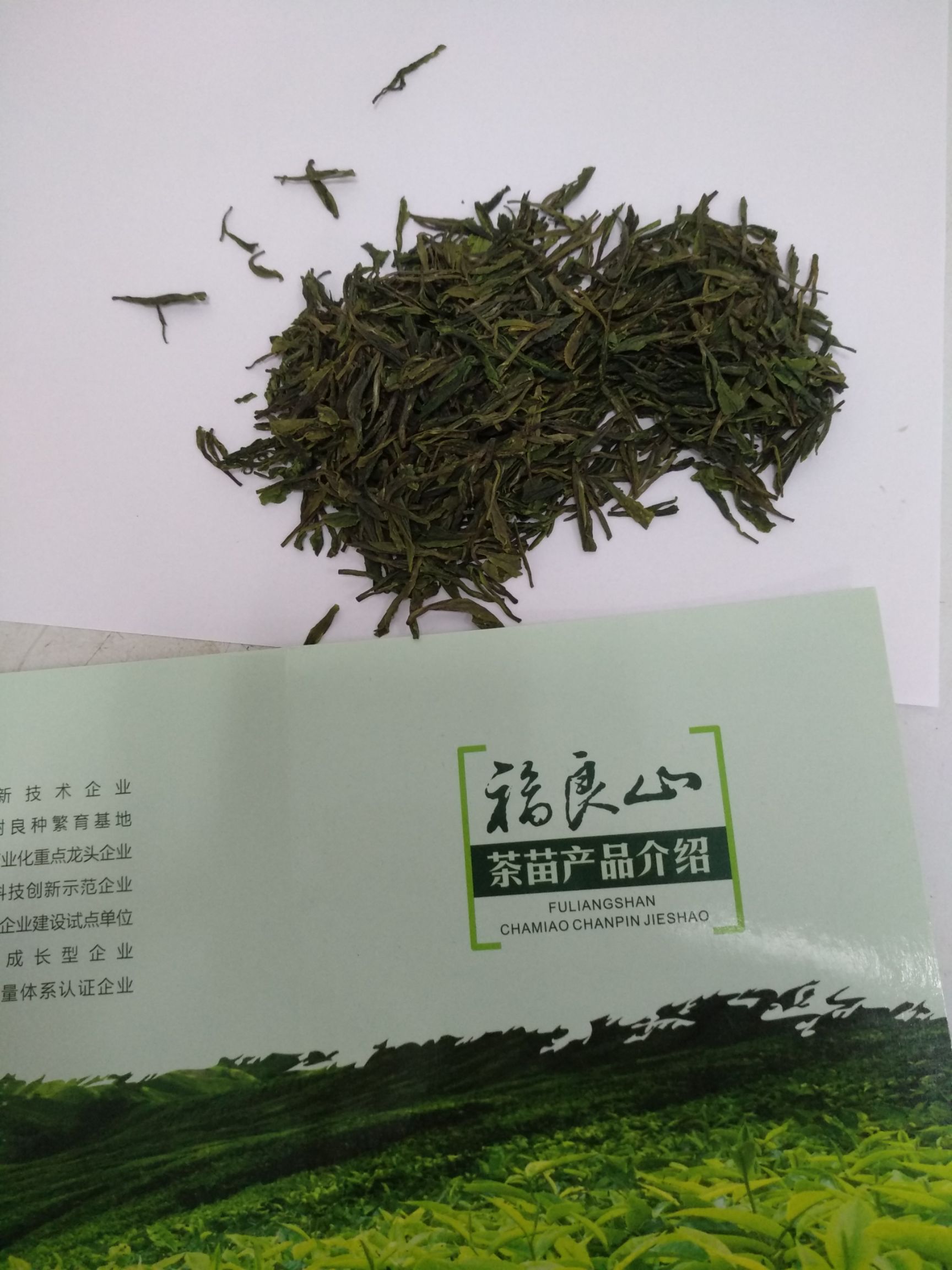  福良山 迎宾绿茶 龙井 2019春茶 明前茶 100克