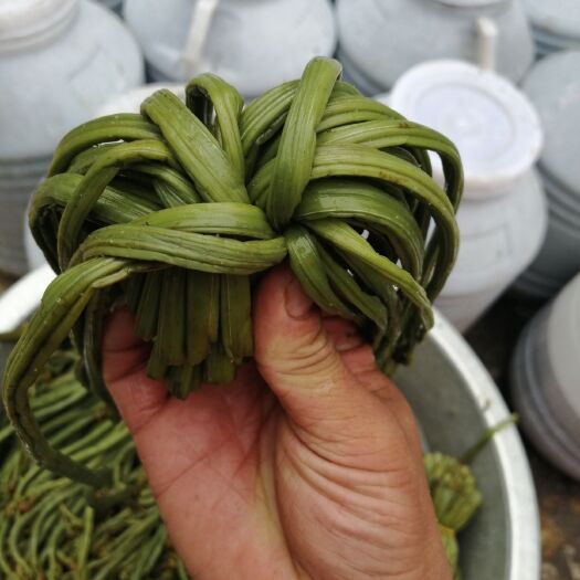 六盘水 盐渍蕨菜