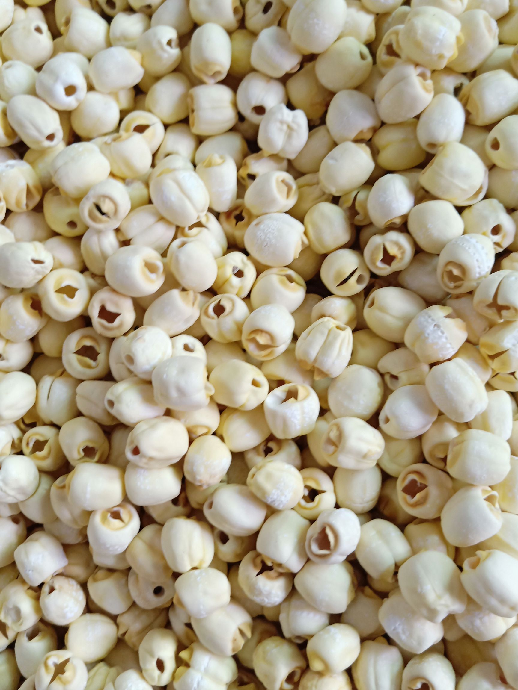 湖南大水泡白莲子 中粒 大粒 粒粒饱满 货真价实 厂家直销