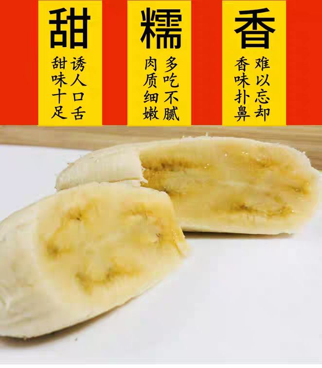 广西蕉 七成熟 