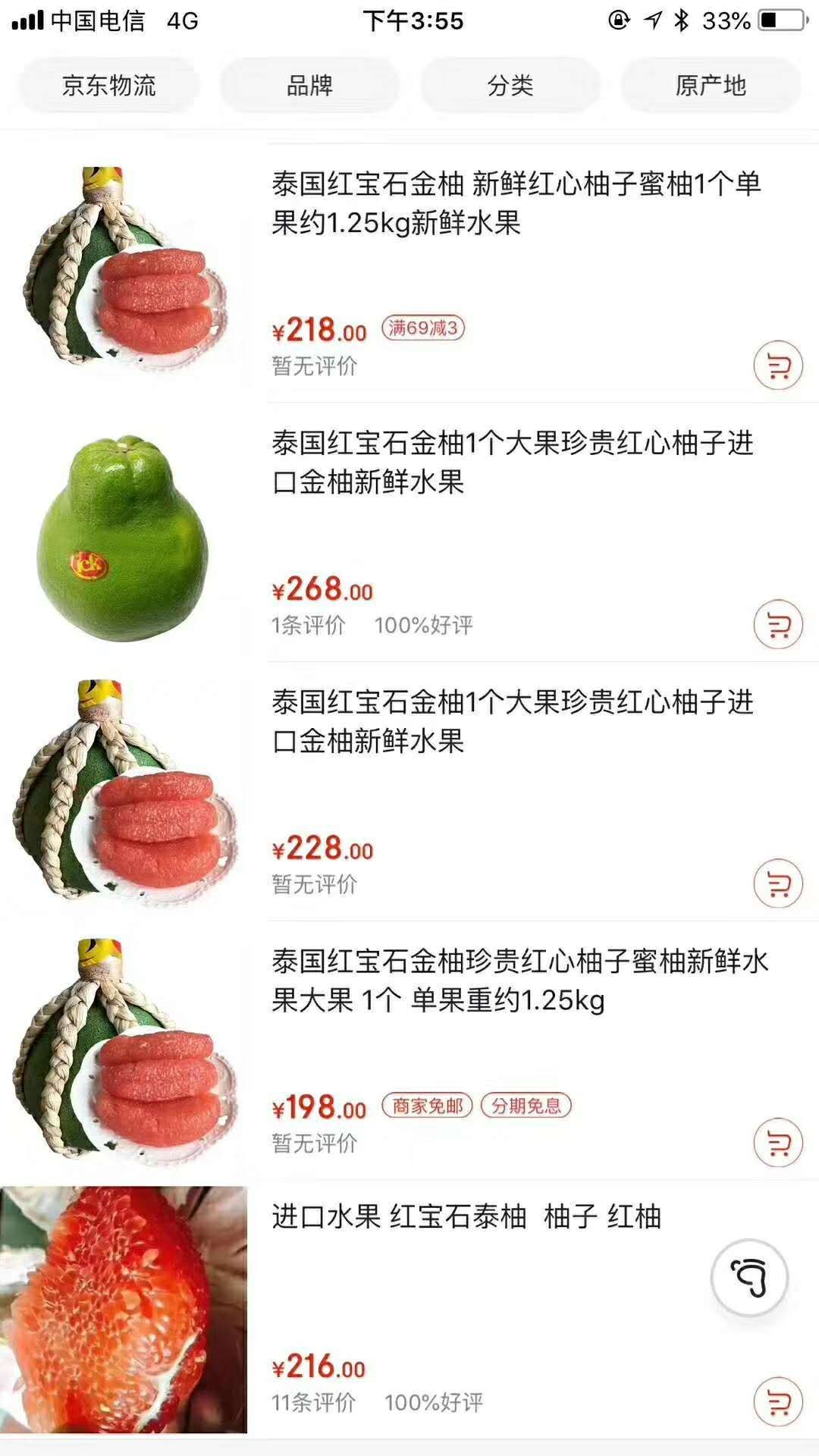 泰国青柚苗 泰国红宝石青柚