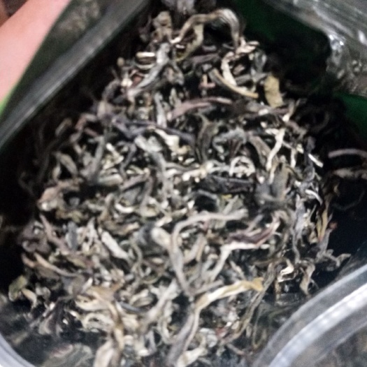 德保县保康绿茶 老板你要茶叶的吗