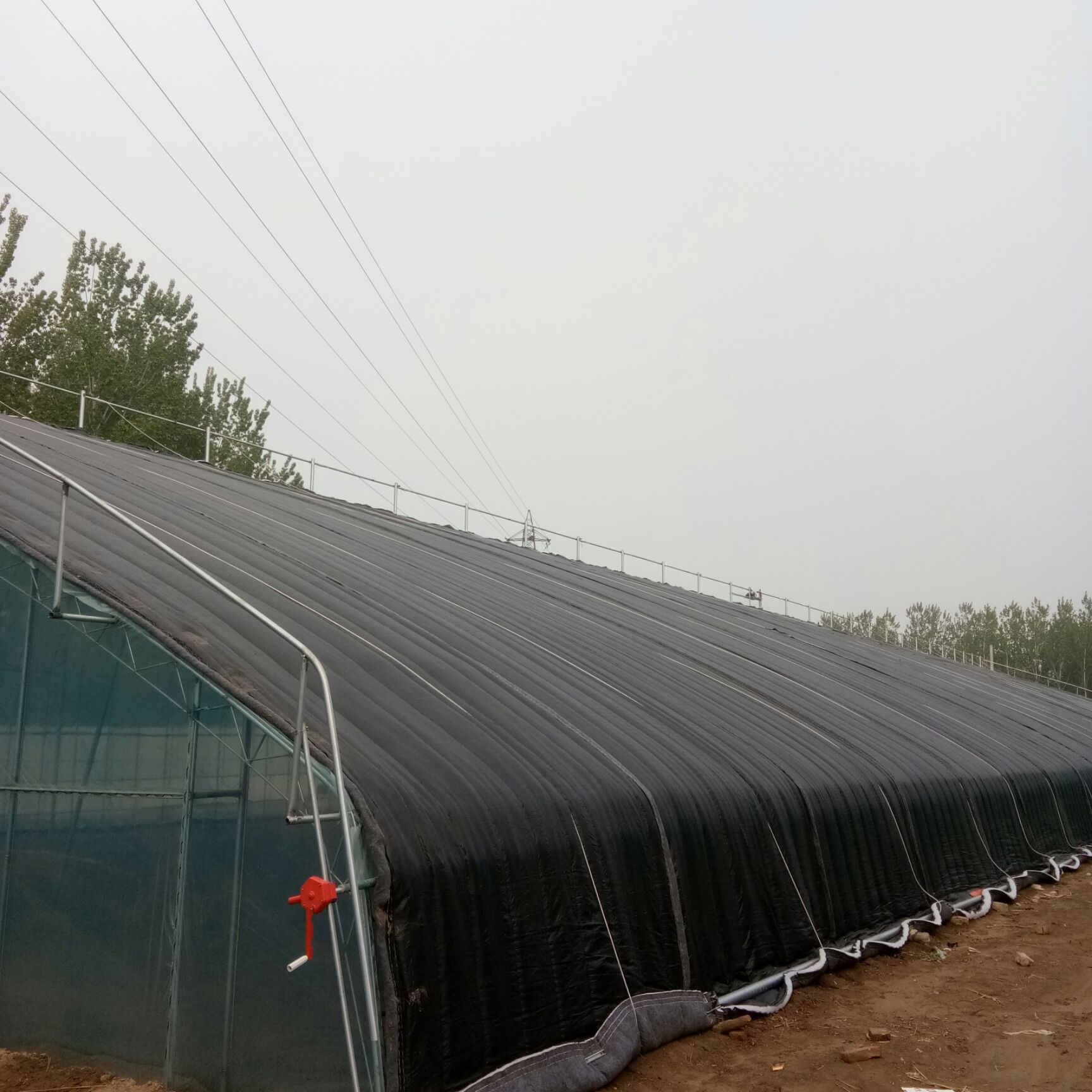 蔬菜大棚 大棚建设