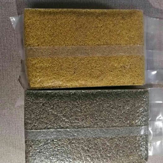 太原 山西特产优质黑小米，黄小米