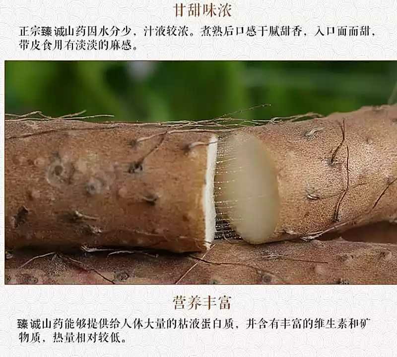  铁棍山药每箱10到15根净重5斤坏单包赔