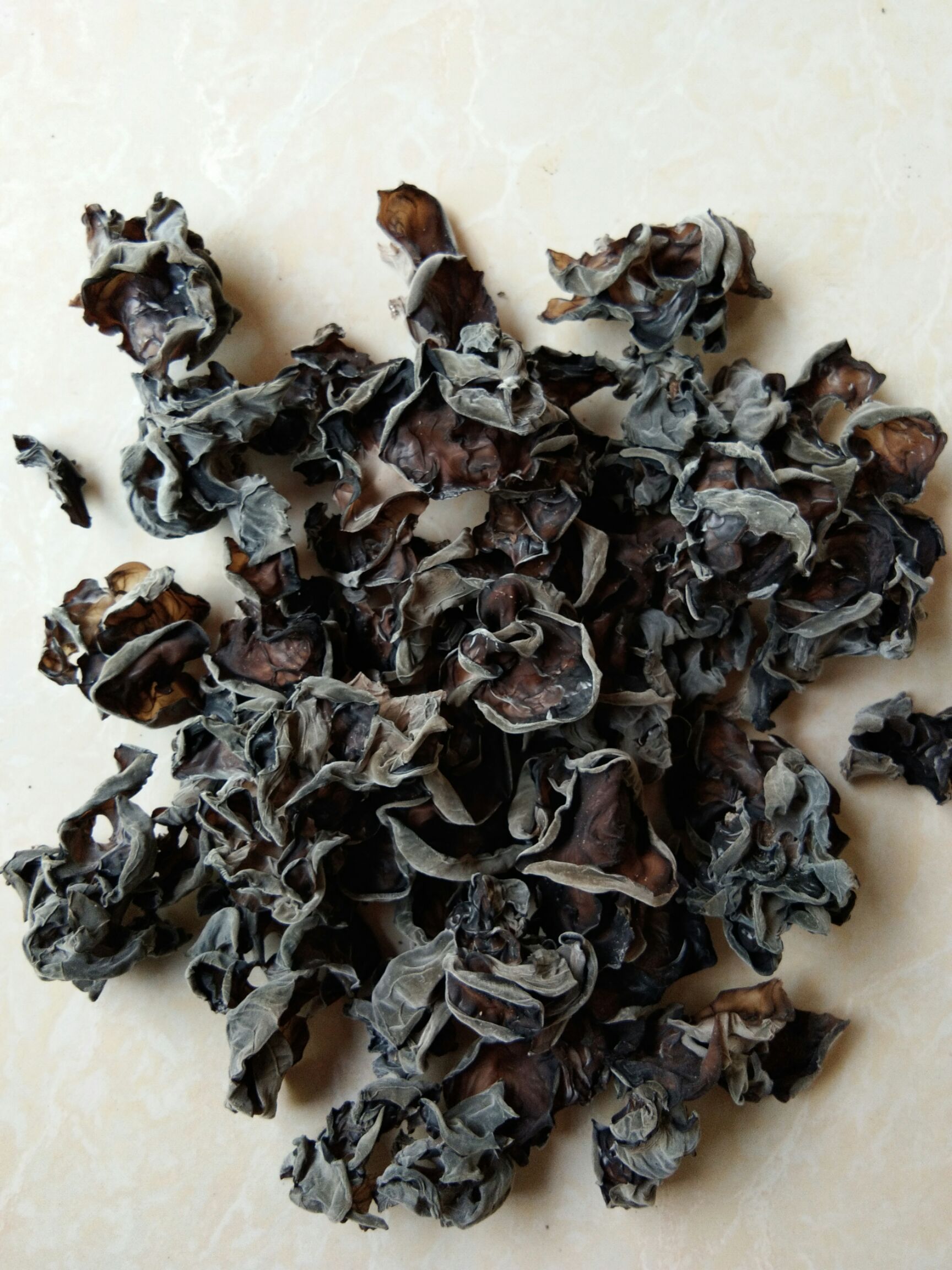 秦岭青冈栎椴木黑木耳 留坝木耳 优质椴木木耳 木耳