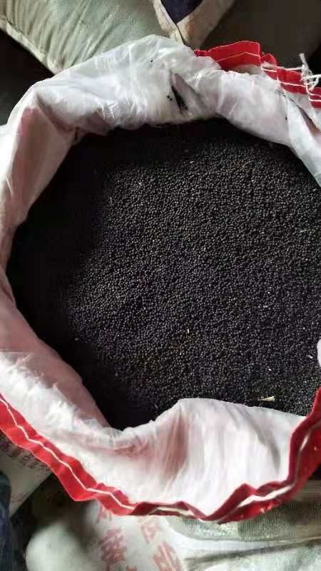 简阳市四川成都新鲜油菜籽 简阳直发货品优质 农家自种生态健康