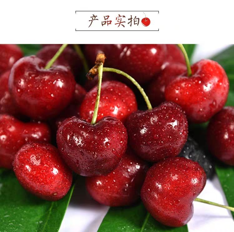 山东烟台福山大樱桃美早空运包邮