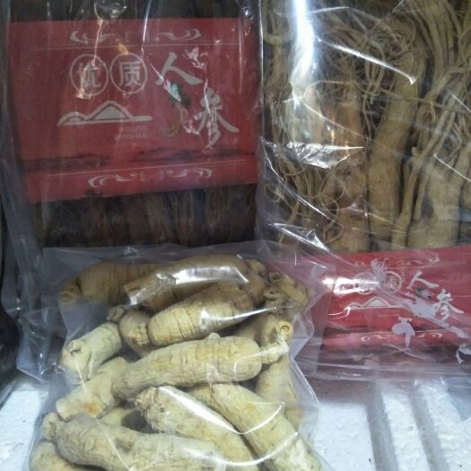紫金县林下参西洋参 花旗参