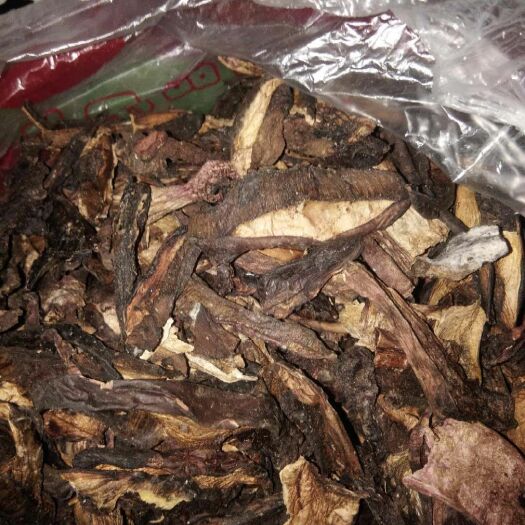 九龙县 牛肝菌大量上市，鲜货，干货