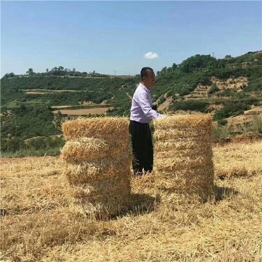 郓城县打捆机打包机粉碎打捆机秸秆打包机全自动打捆包膜一体机