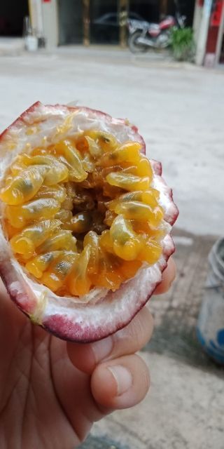 寻乌县紫红色百香果 紫香果