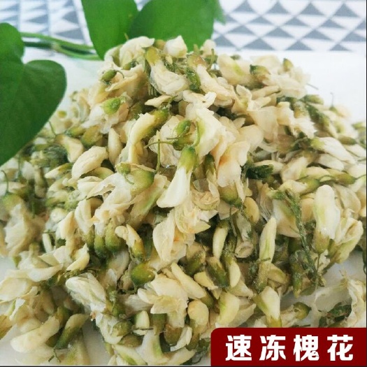 沧州 速冻槐花，干冻，不含冰水，全国供应，常年供应。