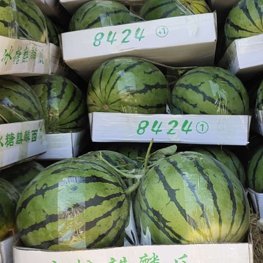 开封河南西瓜大量供应，产地，大量，甜度高