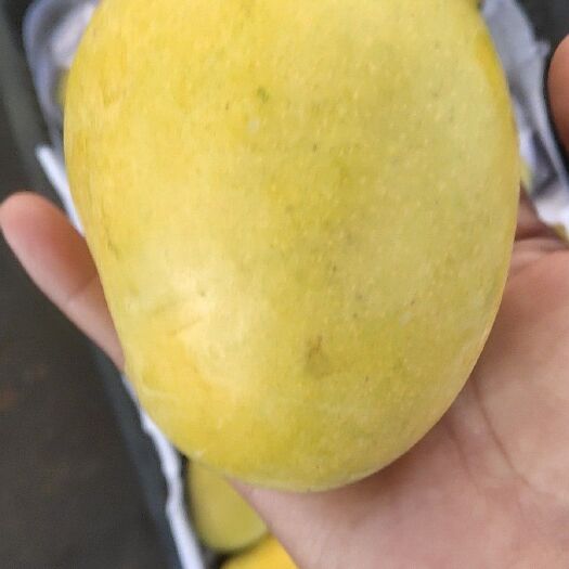瑞丽市 缅甸圣德龙