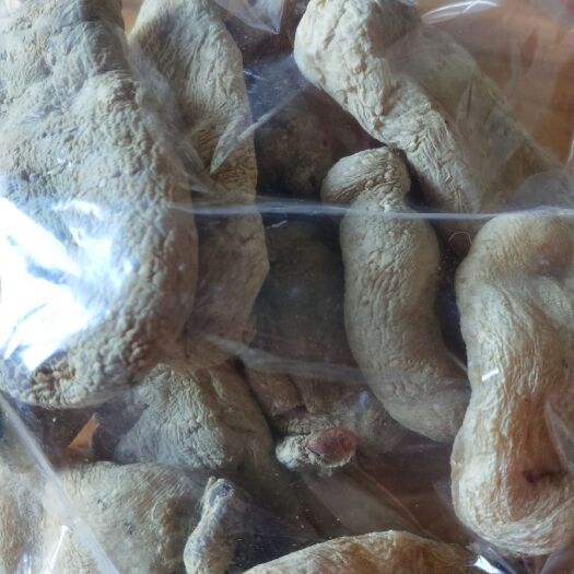 大方县乌天麻