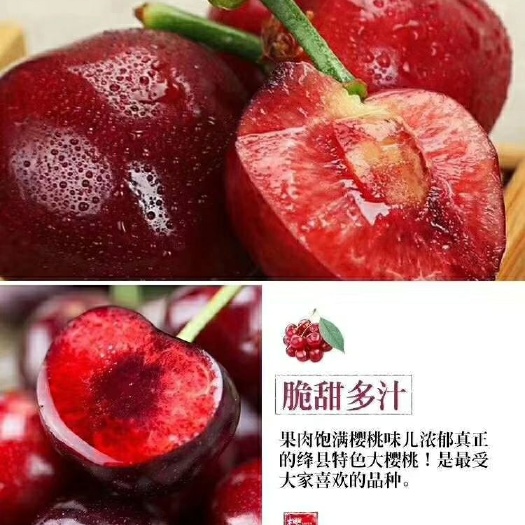 绛县 山西运城市绛县露天大樱桃美早上市了