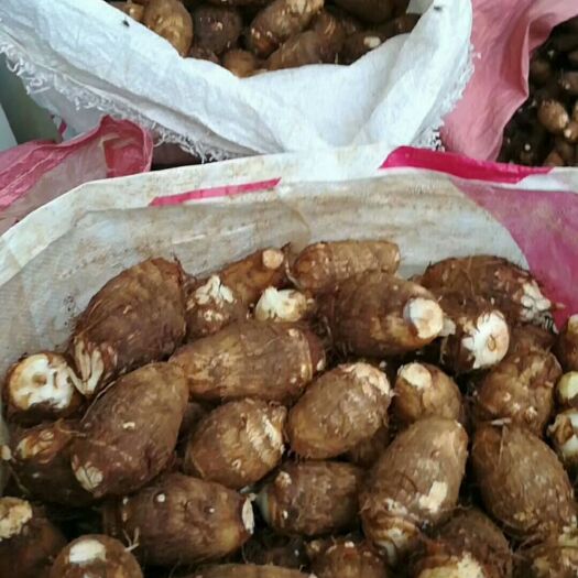 潍坊 芋头……只做精品中精品。