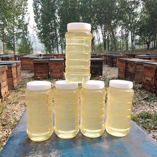 青龙县槐花蜜 自家蜂场刚采的洋槐蜜，和蜂皇浆