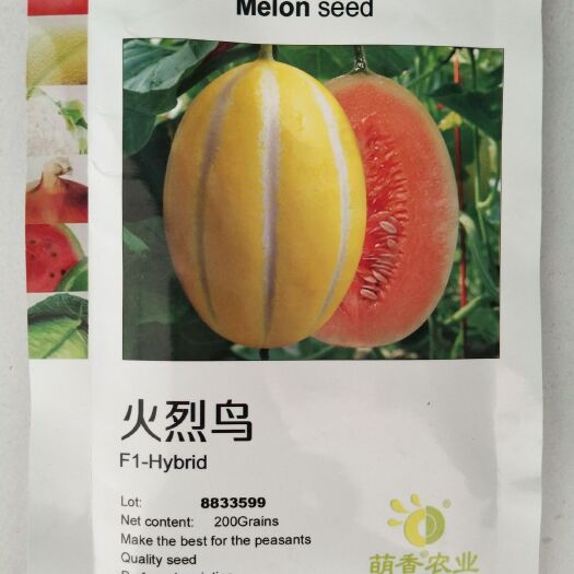 寿光市红瓤八里香甜瓜种子 火烈鸟甜瓜黄皮红瓤果肉酥脆 糖度高特别甜