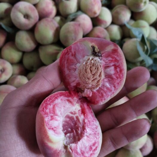泸西县 毛桃