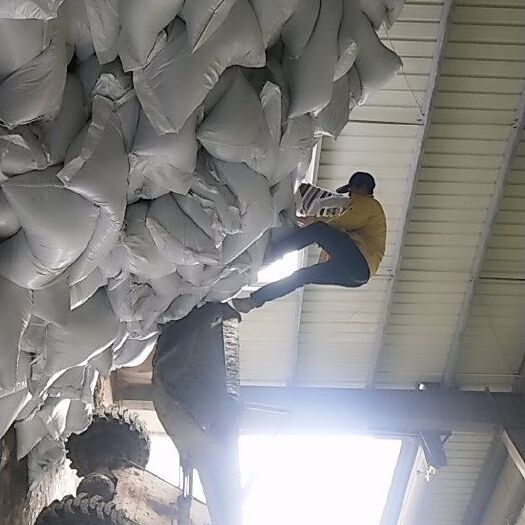 慈溪市有机肥料  高品质有机肥