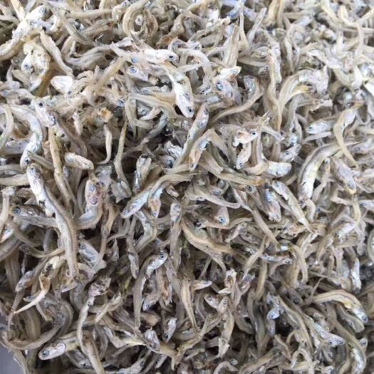 沙丁鱼干