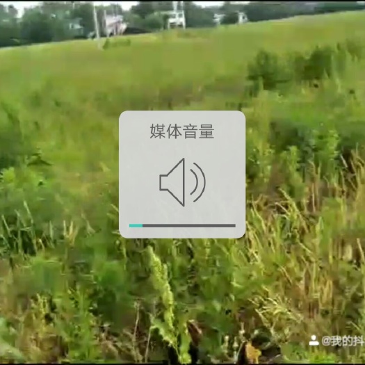 怀宁县水田 300一处900一处，土地肥沃，交通好，旱涝保收