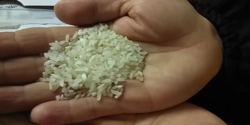 郴州 食堂大米