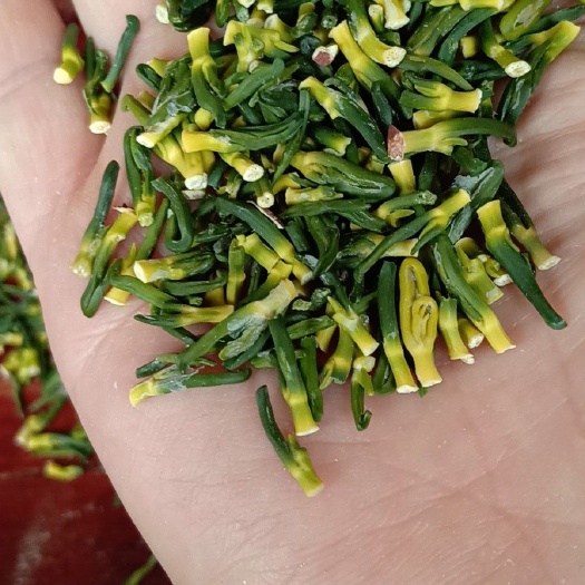 莲芯茶 莲心