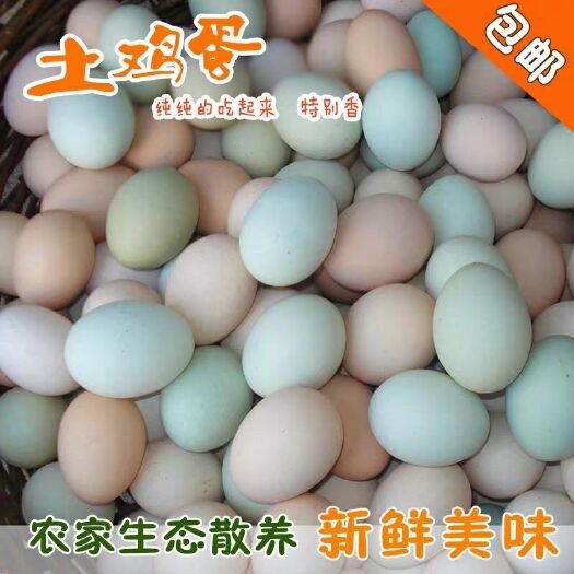 蕲春县土鸡蛋 箱装 食用
