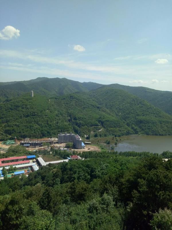 地皮菜 咱老家小包农家野菜脱水泗交地软 地衣干货土特产野生地软