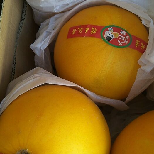 交城县甜王西瓜 新鲜水果诚信经营