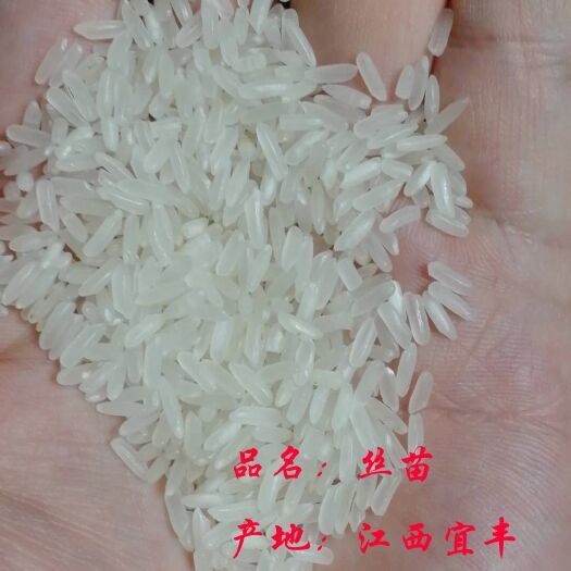 宜丰县 江西宜丰大米厂常年批售丝苗，泰优，普米。