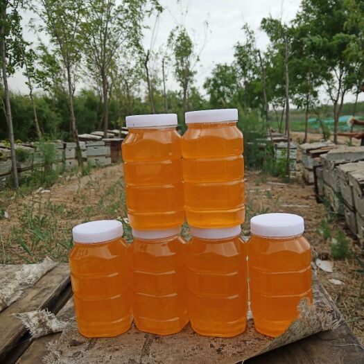 洞口县薰衣草蜂蜜 野生薰衣草蜜，祝愿您越喝气色越好假一赔十