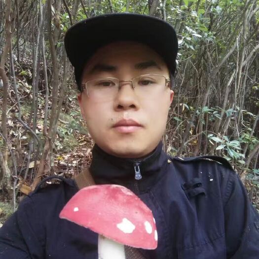 梅州 野生红菇需预订