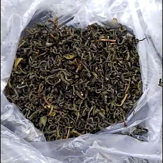 政和县野生绿茶 1-2年