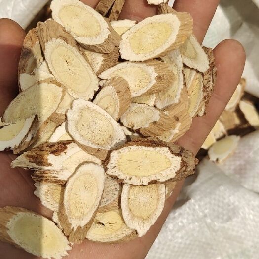 米脂县 黄芪手工切片