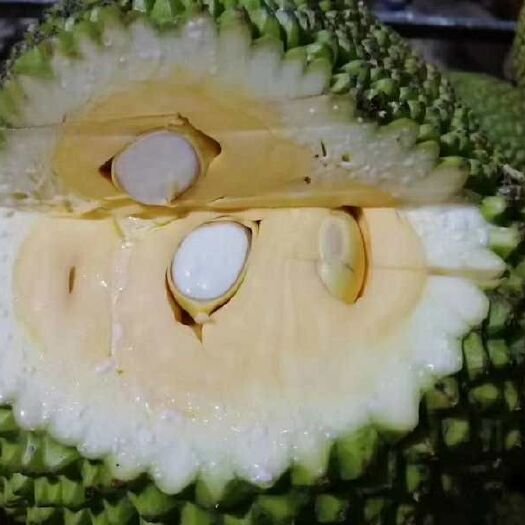 凭祥市 越南红肉菠萝蜜