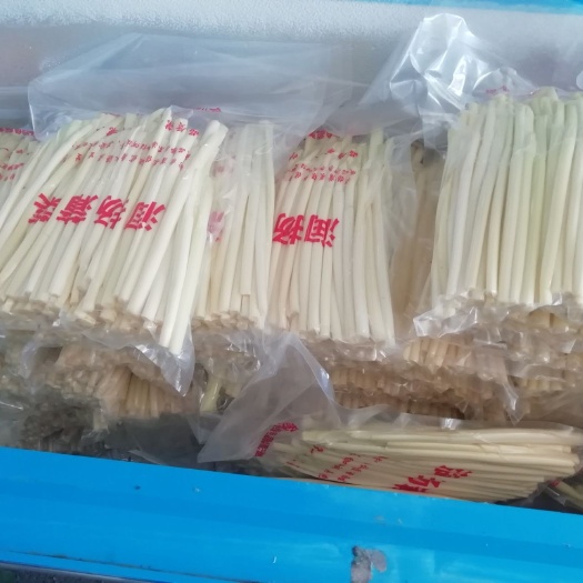 扬州蒲菜 保证优质水源，生长！