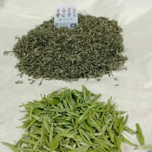 都匀市 都匀毛尖
