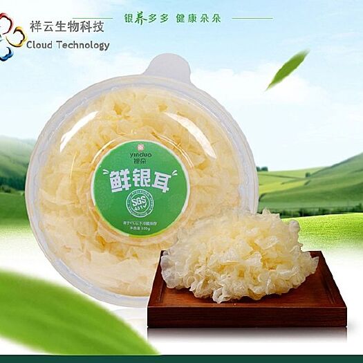 上海雪耳