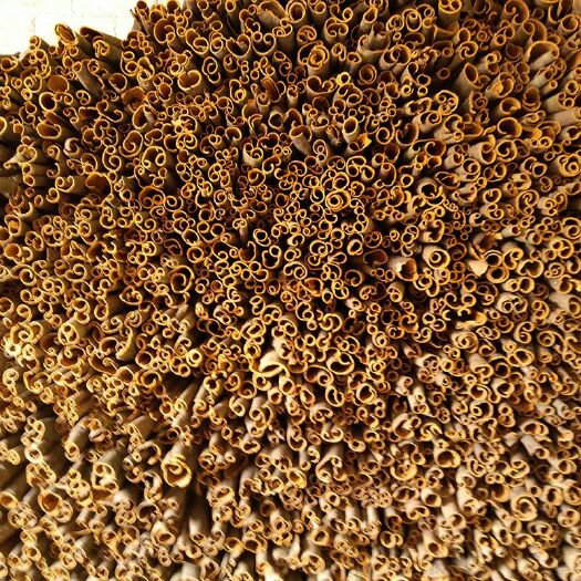桂平市大自然调料 中药材香料调料桂通