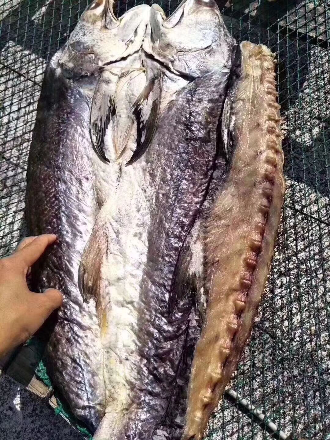 马友鱼干