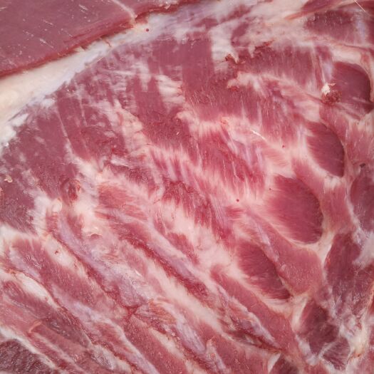 玉林五花肉 生肉