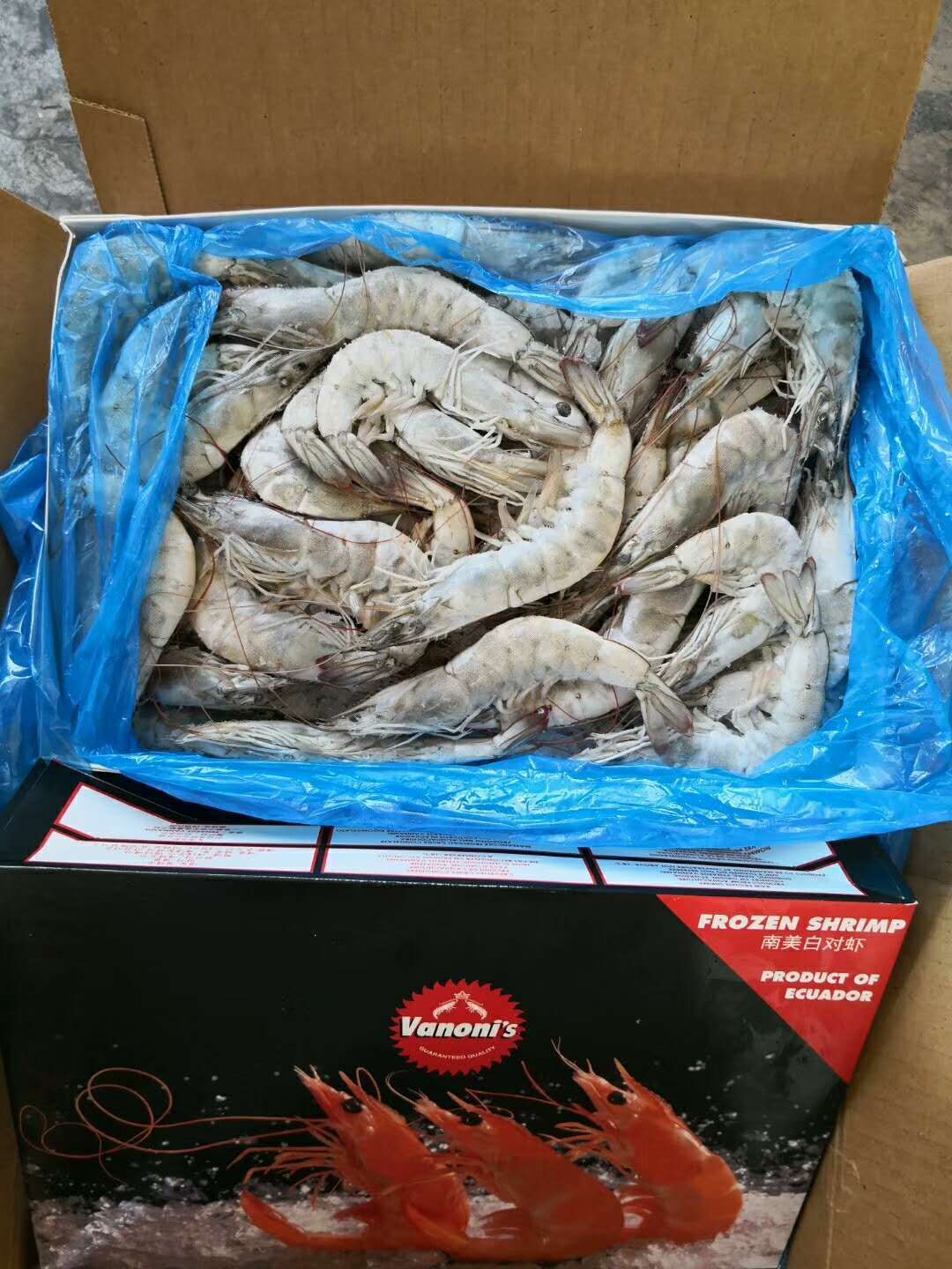 明虾 欧玛莎盐冻大虾到货