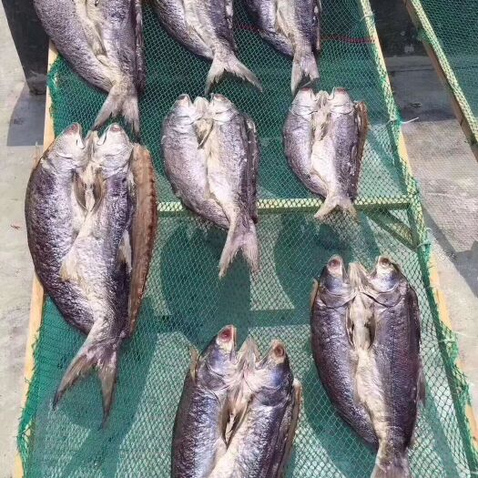 湛江马友鱼干