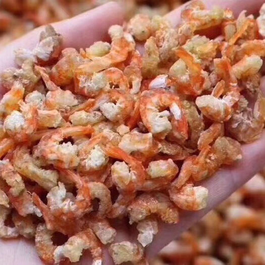 湛江九节虾 虾米
