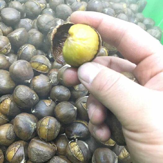 迁西县迁西板栗 冰栗